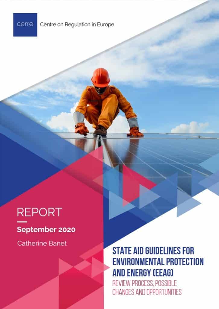 CERRE-State Aid Reform