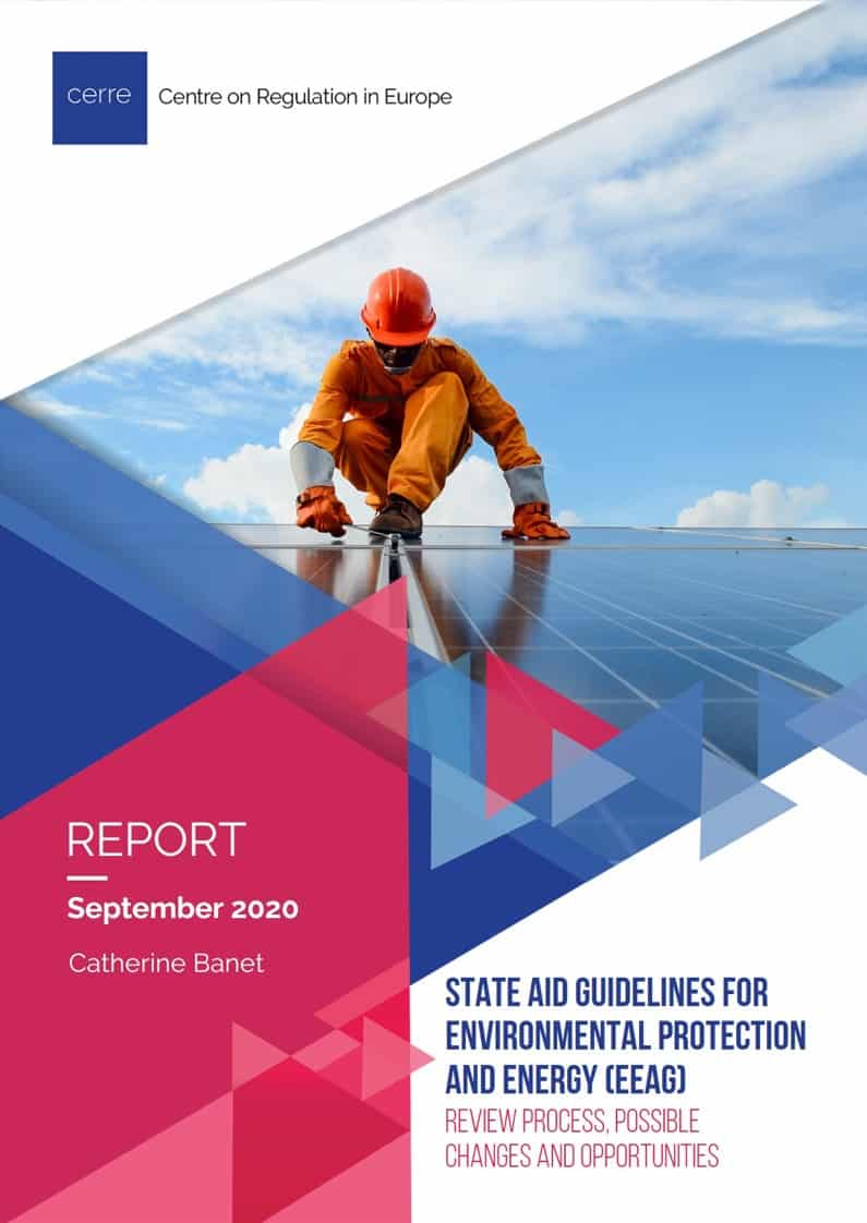 CERRE-State Aid Reform