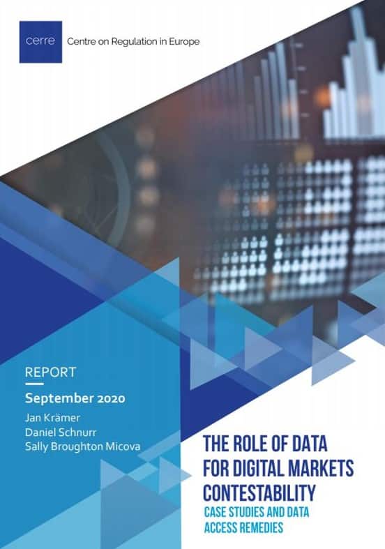 Data Markets Contestability