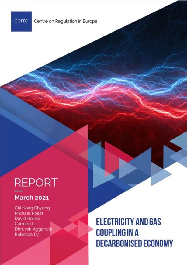Electricity And Gas Coupling In A Decarbonised Economy