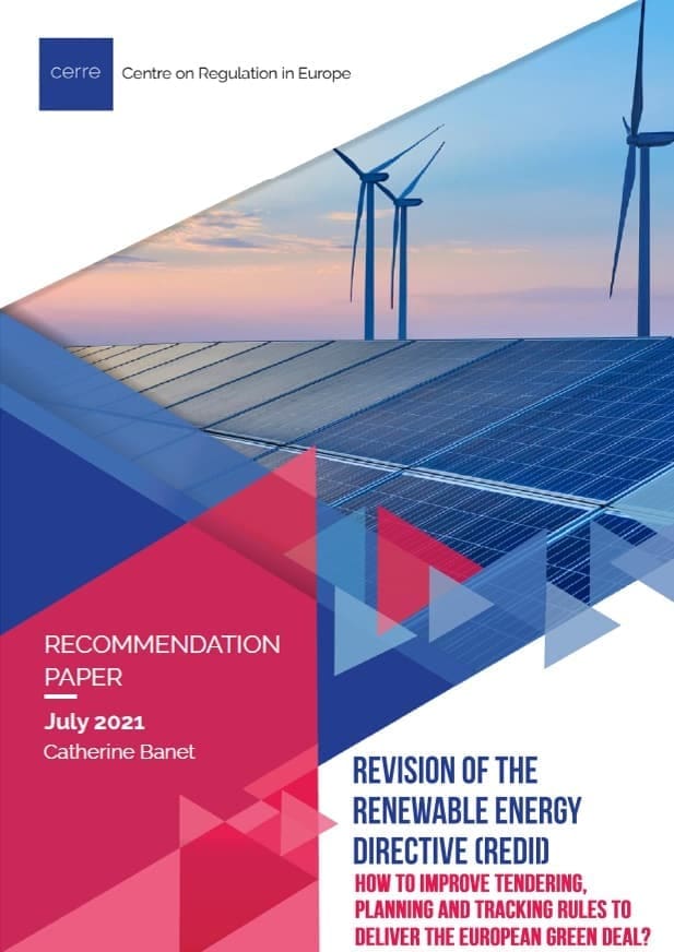 Revision of the Renewable Energy Directive (REDII): How to improve tendering, planning and tracking rules to deliver the European Green Deal