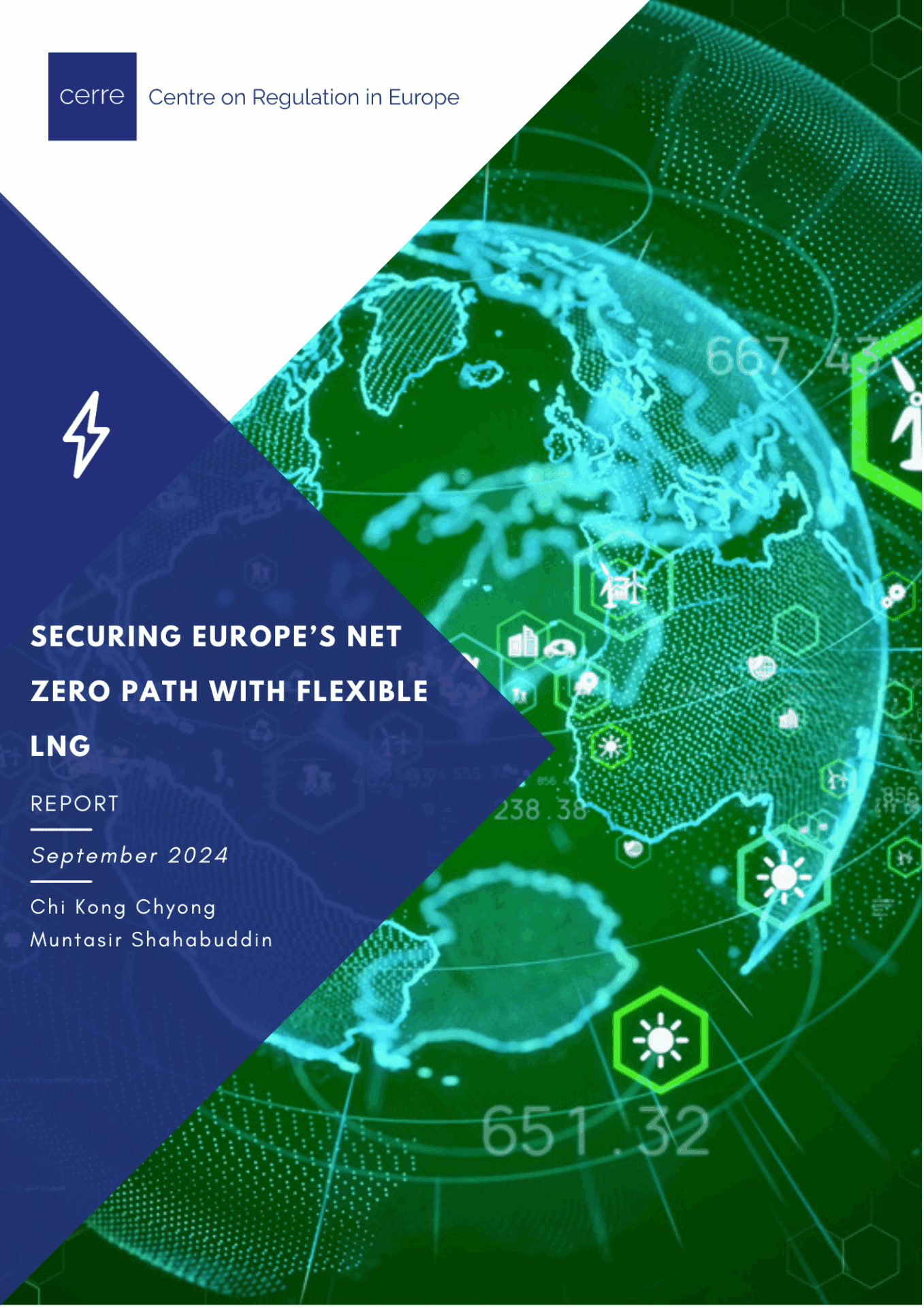Europe’s Pathways to Net Zero: The Role of Renewable Gases and Flexibility