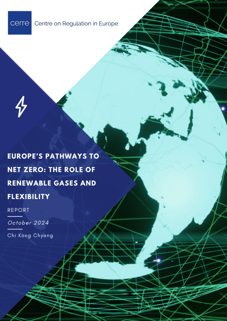Europe’s Pathways to Net Zero: The Role of Renewable Gases and Flexibility