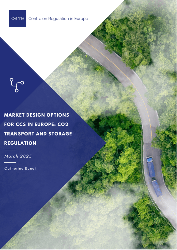 Market Design Options for CCS in Europe: CO2 Transport and Storage Regulation